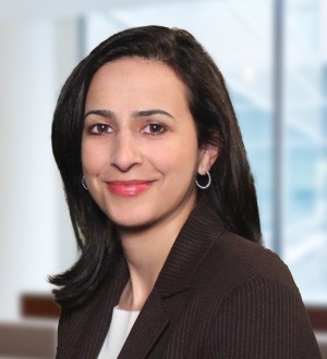 Potomac Law Group