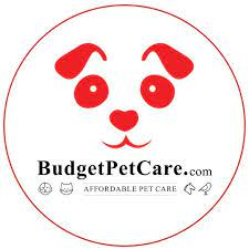 Budget Pet Car